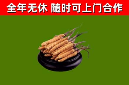 清江浦区烟酒回收冬虫夏草.jpg